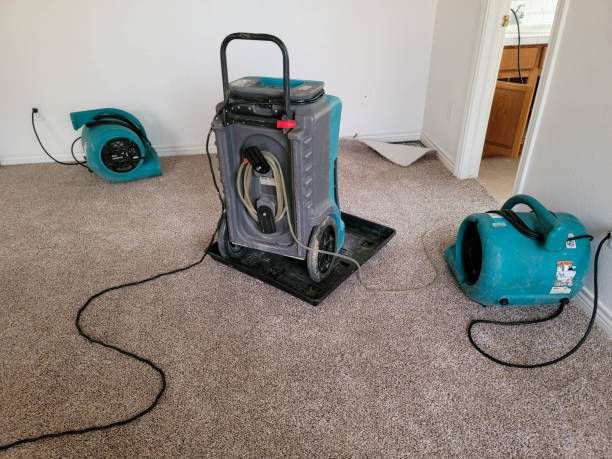 Best Professional water damage repair  in Garden City South, NY