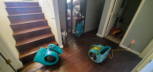  Garden City South, NY Water damage restoration Pros