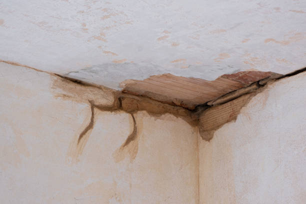 Best Water damage restoration near me  in Garden City South, NY