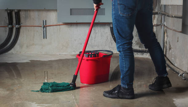 Best Carpet water damage restoration  in Garden City South, NY