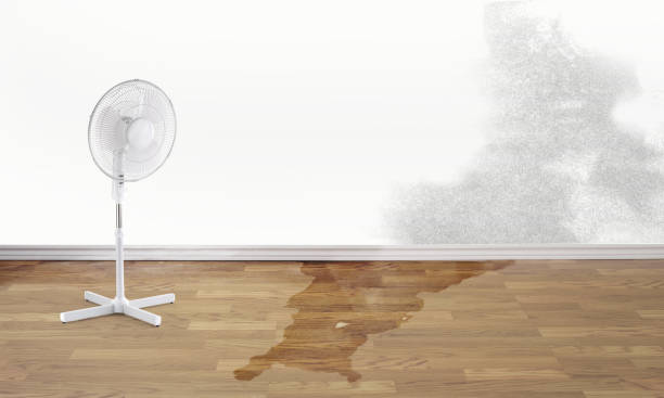  Garden City South, NY Water damage restoration Pros