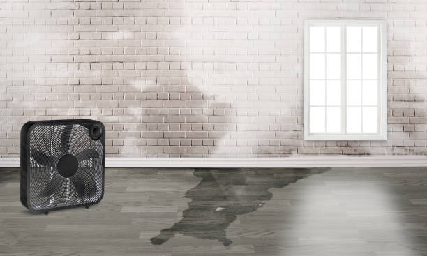 Best Basement water damage restoration  in Garden City South, NY