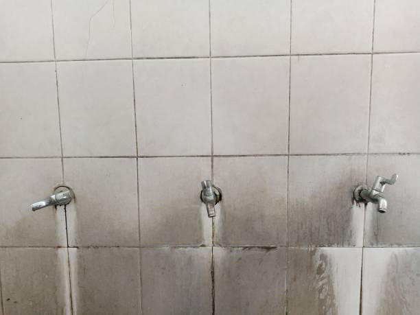 Best Water damage contractors near me  in Garden City South, NY