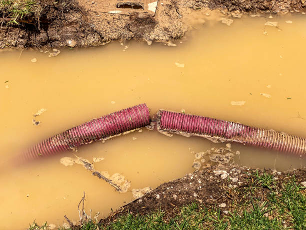 Best Local water damage restoration  in Garden City South, NY